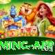 c444 Super Gaming App