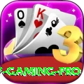 mj77 Gaming Pro